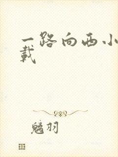 一路向西小说下载
