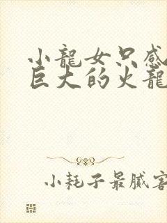 小龙女只感觉那巨大的火龙枪