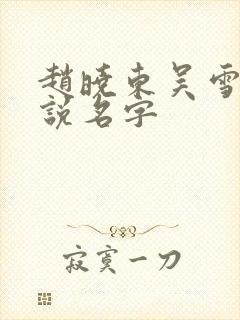 赵晓东吴雪晴小说名字