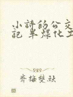 小诗的公交车日记 半煤化工