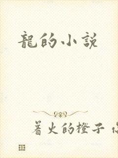 龙的小说