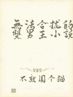 无法合拢的总裁双男主小说