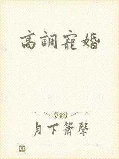 高调宠婚