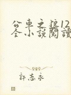 公车之狼12集全小说阅读