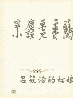 宁尘单柔苏千雪小说免费阅读最新