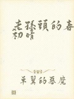 老孙头的春天林初晴