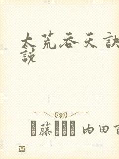 太荒吞天诀 小说