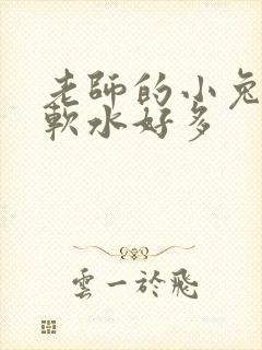 老师的小兔子好软水好多