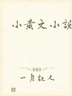 小黄文小说