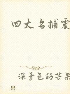 四大名捕震关东