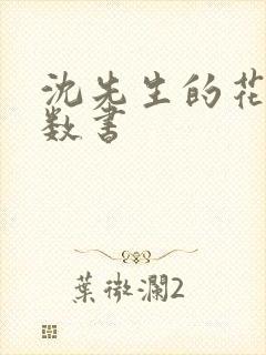 沈先生的花式调数书