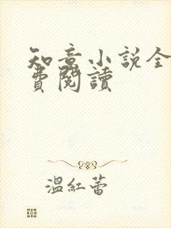 知意小说全文免费阅读