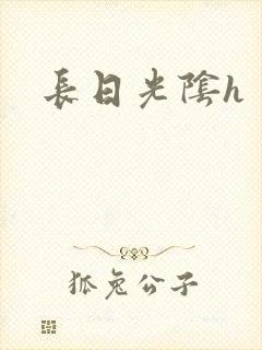 长日光阴h