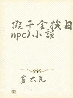 假千金挨日记(npc)小说