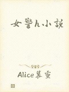 女警h小说