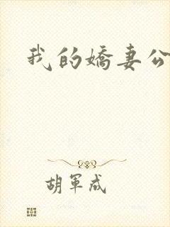 我的娇妻公务员