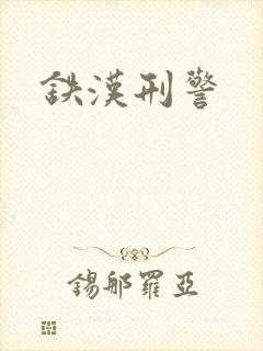 铁汉刑警