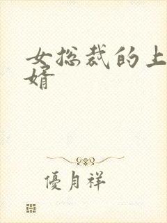 女总裁的上门女婿