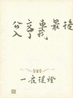 公交车最后一排入了我