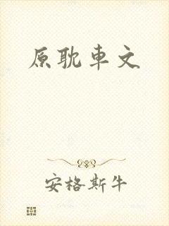 原耽车文