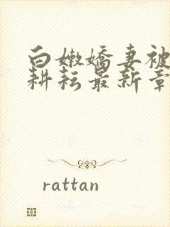 白嫩娇妻被别人耕耘最新章节