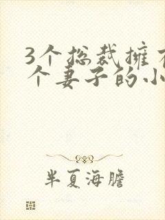 3个总裁拥有一个妻子的小说