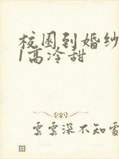 校园到婚纱1V1高冷甜