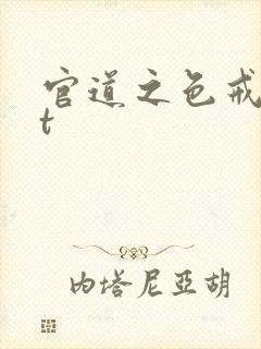 官道之色戒txt