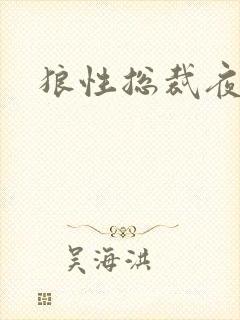 狼性总裁夜欢宠