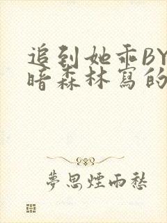 追到她乖BY黑暗森林写的小说