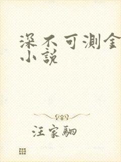 深不可测金银花小说