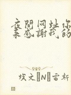 夜间网址你会回来感谢我的