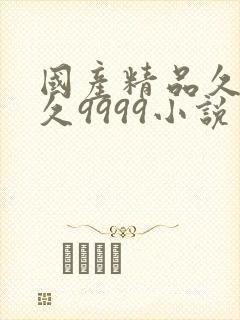 国产精品久久久久9999小说