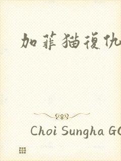 加菲猫复仇记