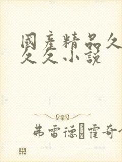 国产精品久久久久久小说