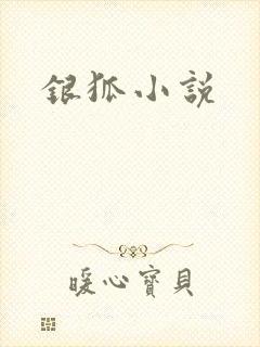 银狐小说
