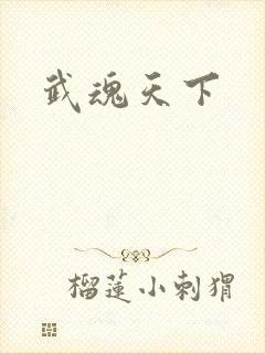 武魂天下