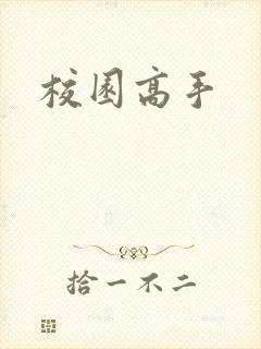 校园高手