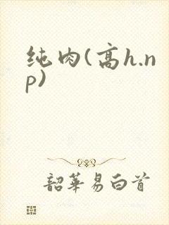 纯肉(高h.np)