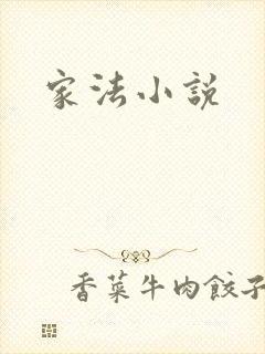 家法小说