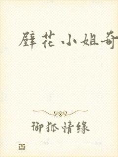 壁花小姐奇遇记