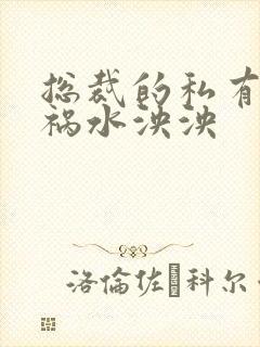 总裁的私有宝贝祸水泱泱