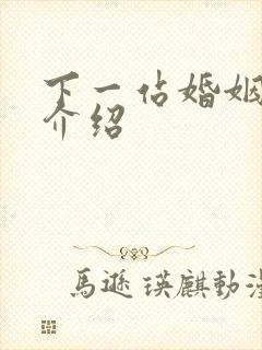 下一站婚姻剧情介绍