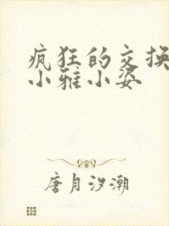 疯狂的交换小静小雅小姿