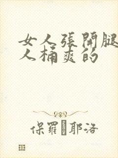 女人张开腿让男人桶爽的