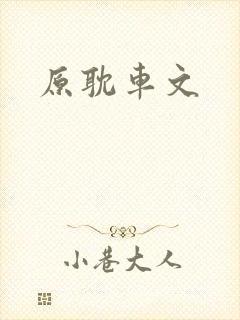 原耽车文