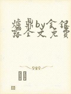 炉鼎by金银花露全文免费阅读笔趣阁