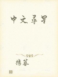 中文寻星