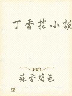 丁香花小说