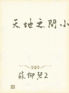 天地之间小说